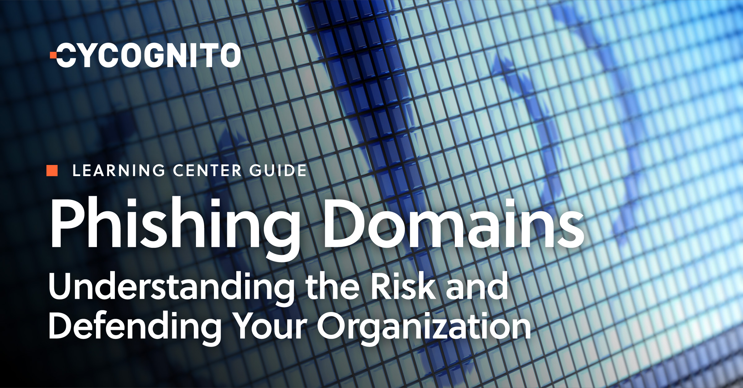 Phishing Domains: Understanding the Risk and Defending ...