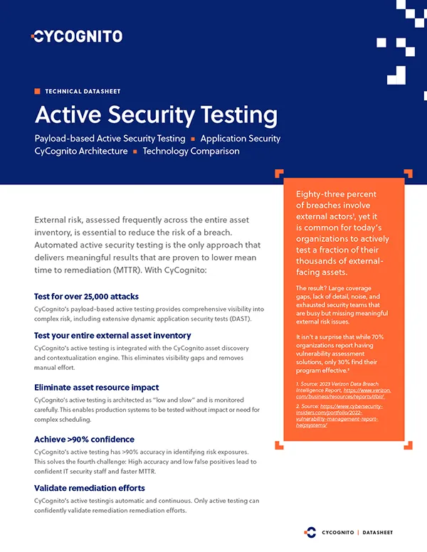 Active Security Testing