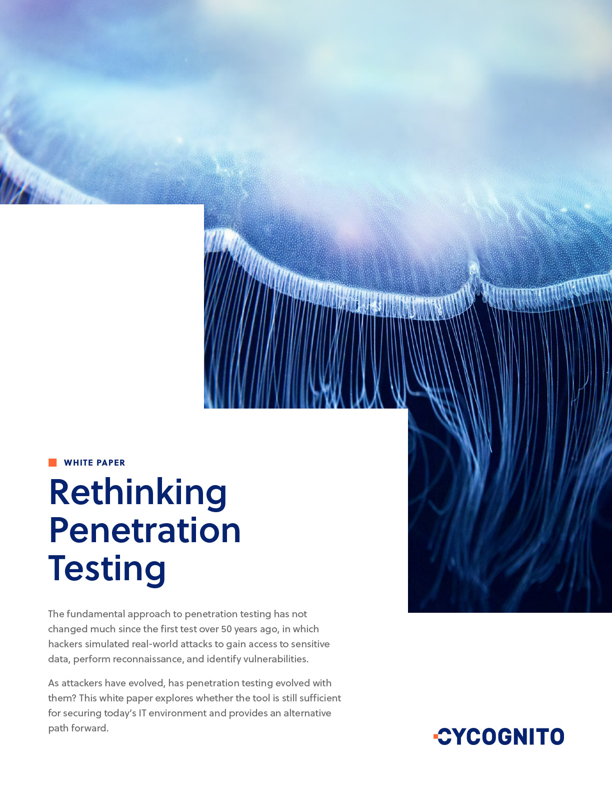 Rethinking Penetration Testing White Paper